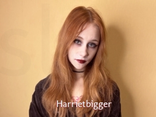 Harrietbigger