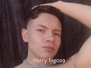 Harry_big029