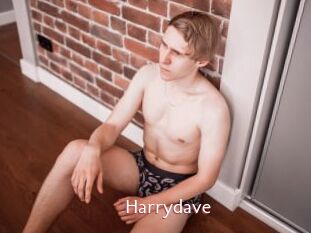 Harrydave