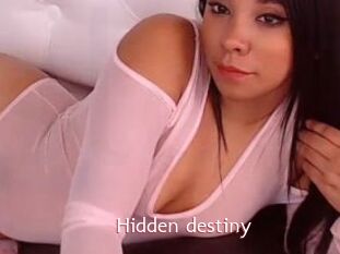 Hidden_destiny