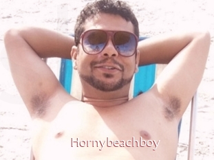 Hornybeachboy