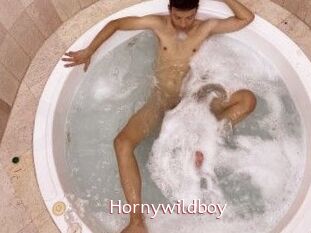 Hornywildboy