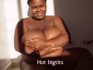 Hot_bigtits