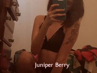 Juniper_Berry