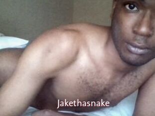 Jake_tha_snake