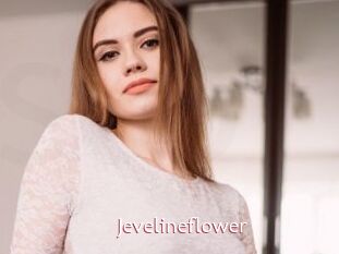 Jevelineflower