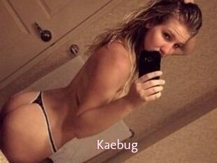 Kaebug