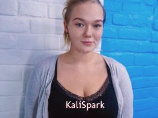 KaliSpark