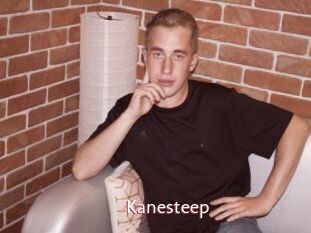 Kanesteep