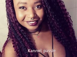 Kannel_passie