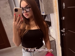 Karinamikus