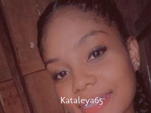 Kataleya65