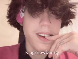 Kingsnowbunny