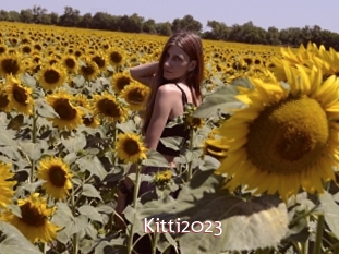 Kitti2023