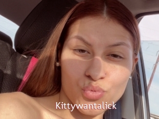 Kittywantalick