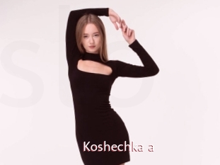 Koshechka_a