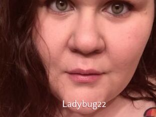 Ladybug22