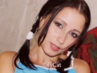 Lily_Cat_