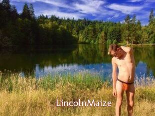 Lincoln_Maize