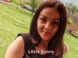 Little_Bunny_