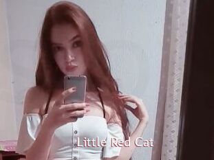 Little_Red_Cat