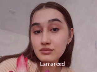 Lamareed