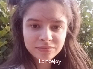 Laricejoy