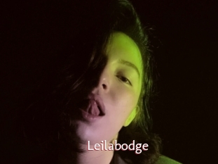 Leilabodge