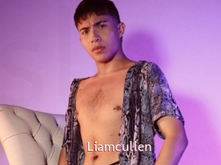 Liamcullen