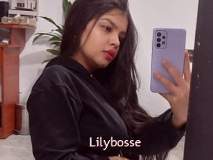 Lilybosse