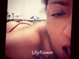 Lilyflower