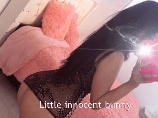 Little_innocent_bunny