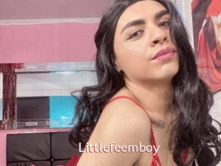 Littlefeemboy