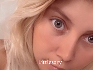 Littlesary