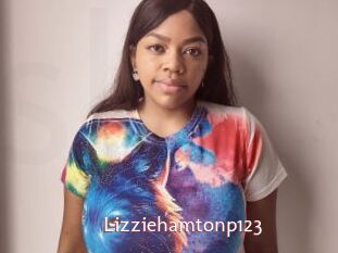 Lizziehamtonp123