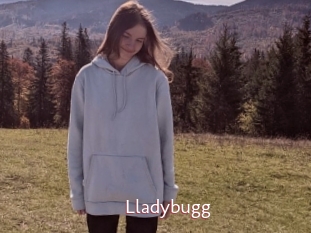 Lladybugg