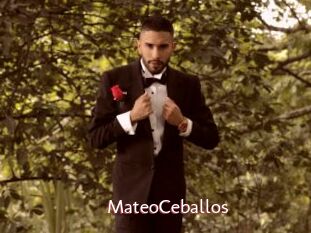 MateoCeballos