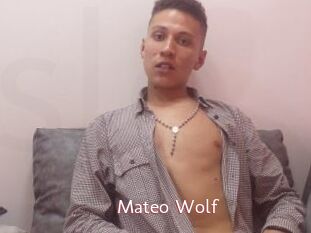 Mateo_Wolf