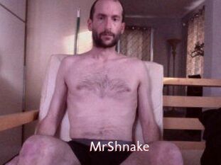 MrShnake