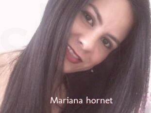 Mariana_hornet