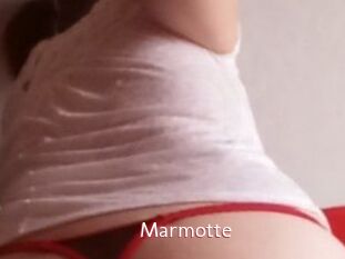 Marmotte