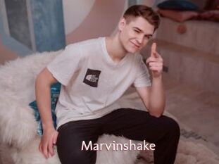 Marvinshake