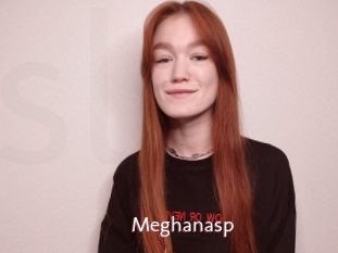 Meghanasp