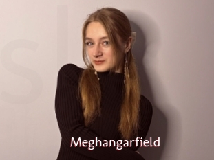 Meghangarfield