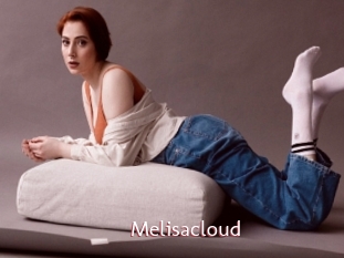 Melisacloud