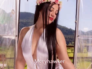 Meryhawker