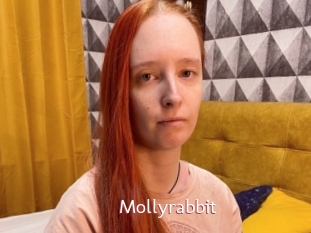 Mollyrabbit