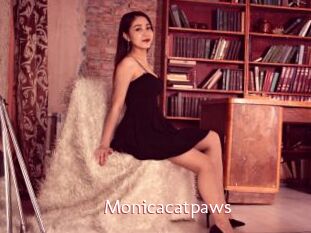 Monicacatpaws