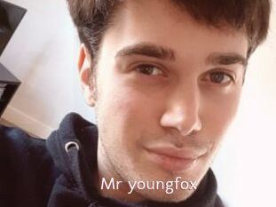 Mr_youngfox