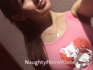 NaughtyHomeAlone